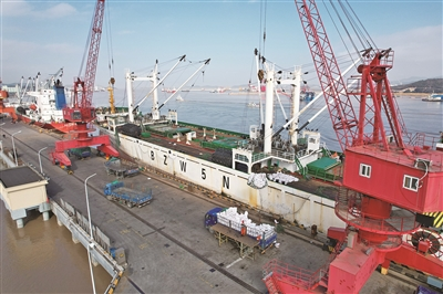 舟山国家远洋渔业基地去年鱼货进关量超60万吨