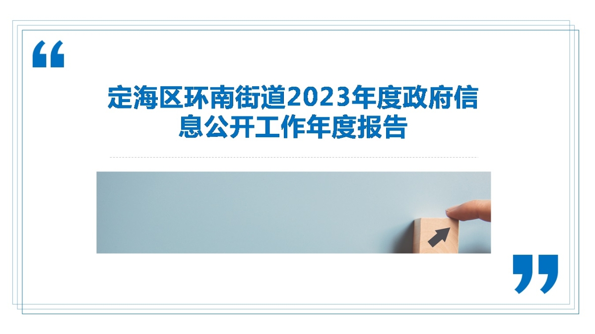 2023政府信息公开年报环南.jpg
